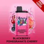 IGET BAR PRO 10000 – Blackberry Pomegranate Cherry