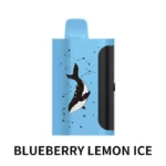 PICCO STAR 40000 – Blueberry Lemon Ice
