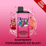 RASPBERRY POMEGRANATE ICE BLAST – IGET BAR PRO – 10000 PUFFS