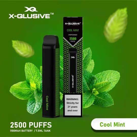 IMG_4467.jpg X-QLUSIVE COOL MINT – 2500 PUFFS - Image 1