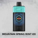 MOUNTAIN SPRING MINT ICE – IGET ONE – 12000 PUFFS