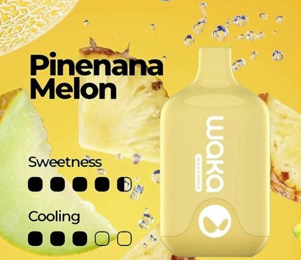 PHOTO-2023-10-23-14-39-03.jpg WAKA SMASH PINEANA MELON – 6000 PUFFS - Image 1