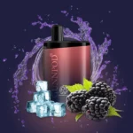 GUNNPOD META BLACKBERRY ICE – 4000 PUFFS