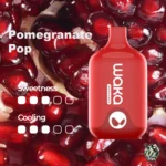 WAKA SMASH POMEGRANATE POP – 6000 PUFFS